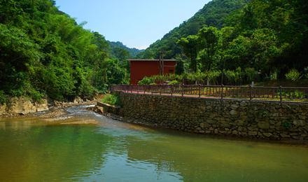 臨武·西瑤綠谷國(guó)家森林公園爛漫櫻花谷二期